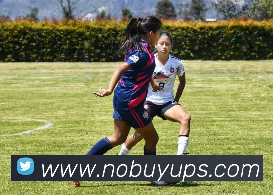 平台使命图